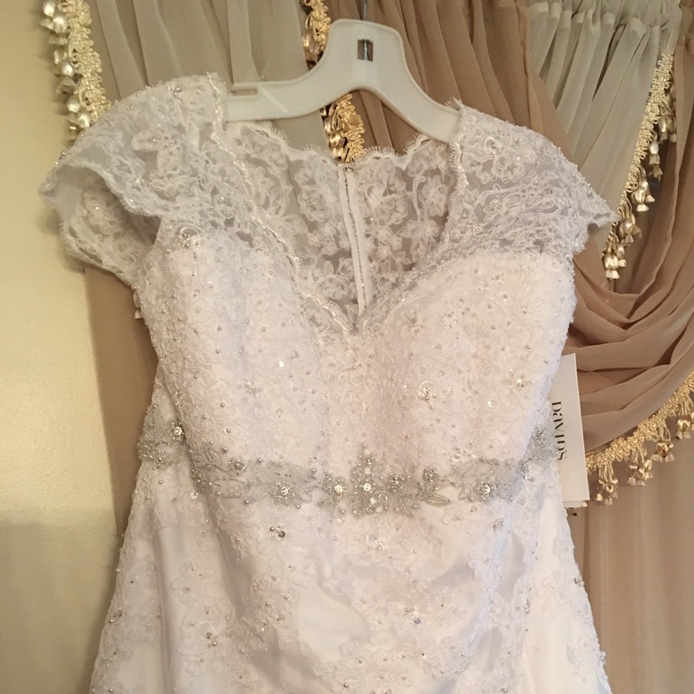 Wedding Gown, Tiara, And veil.. the whole package - Picture 2 of 8